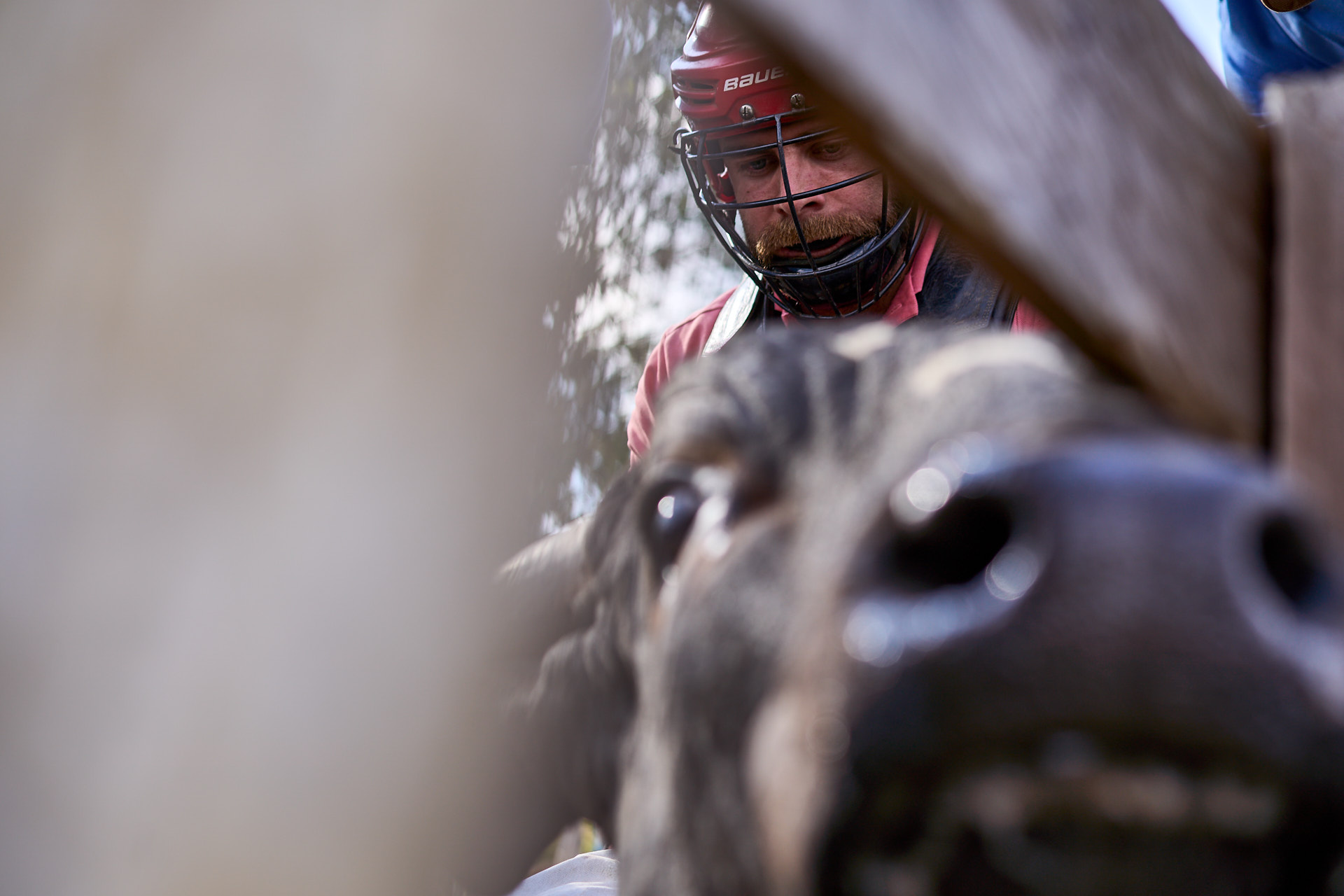 max-kandler-rodeio-fotografia-05