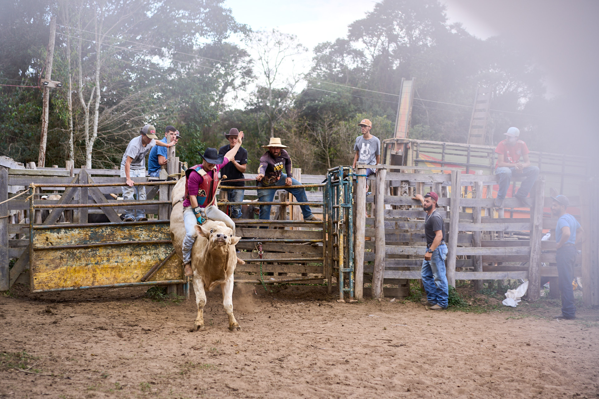 max-kandler-rodeio-fotografia-06